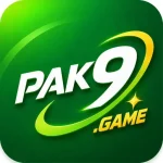pak9-game